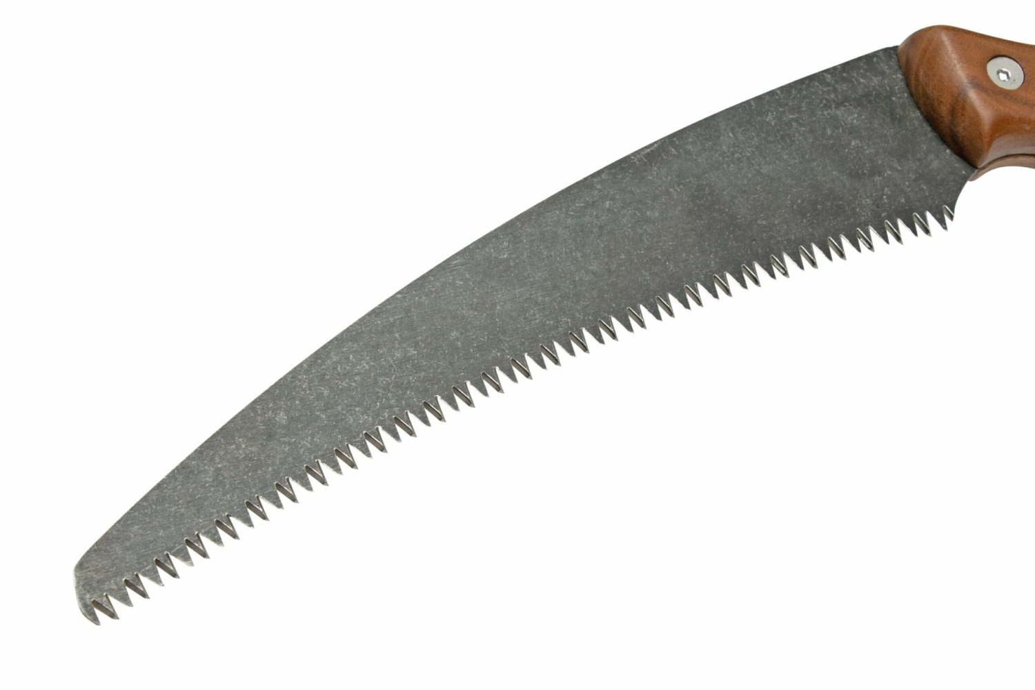 Barebones Timber Saw, GDN-074, Scie égoïne 5 Barebones Timber Saw, GDN-074, Scie égoïne – Image 3