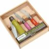 Set De Jardin En Trois Parties Opinel T1617 -Plein Air Outils Magasin OPT1617 01 opinel tuinset opt1617 d1