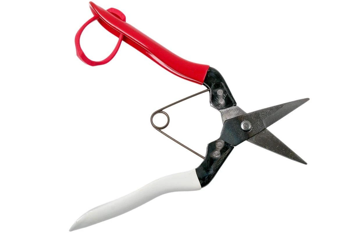 Okatsune Sécateur à Fleurs KST307, Longueur De Lame : 3,5 Cm 4 Okatsune Sécateur à Fleurs KST307, Longueur De Lame : 3,5 Cm – Image 2